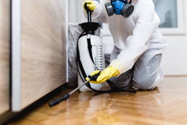 Best Wasp Removal Services  in Esparto, CA