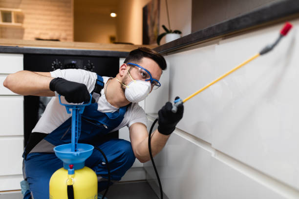 Best Local Pest Control Services  in Esparto, CA