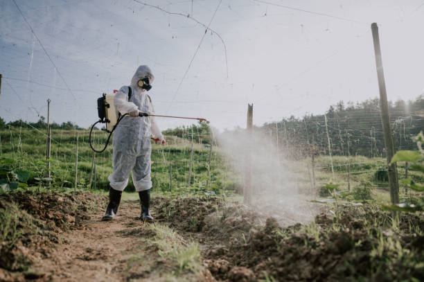 Best Best Pest Control Companies  in Esparto, CA