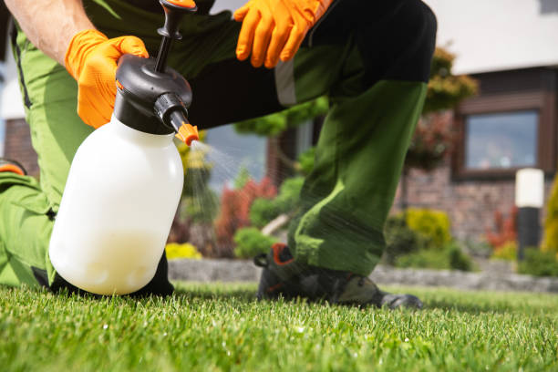 Best Pest Control for Businesses  in Esparto, CA