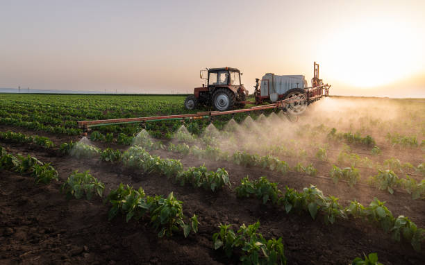 Best Pest Control Near Me  in Esparto, CA