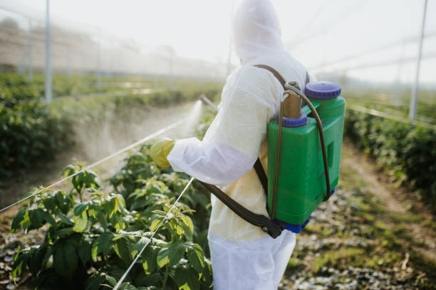 Best Insect Control  in Esparto, CA